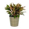 13.4" Self-watering Wicker Decor Planter for Indoor and Outdoor - Round - Natural