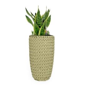 14.6" Self-watering Wicker Planter - Garden Decoration Pot - Beige - Round