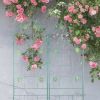 2 Pack Metal Garden Trellis 71" x 19.7" Rustproof Trellis for Climbing Plants Outdoor Flower Support Green