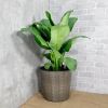 13.4" Self-watering Wicker Decor Planter for Indoor and Outdoor - Round - Natural