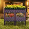 Plastic Raised Garden Bed Set of 4 Planter Grow Boxes with Legs for Outdoor Indoor Plants Elevated Garden Boxes Plant Pots for Flowers, Vegetables, Fr