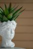 Greek Style Cement Head Planter - Indoor Outdoor Home Garden Decor, D6" x 9"