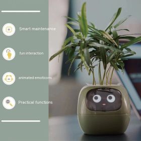 Facial Expression Control Intelligent Flower Pot (Option: Green-Small)