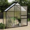 Greenhouse Anthracite Aluminum 14.3 ft¬≤